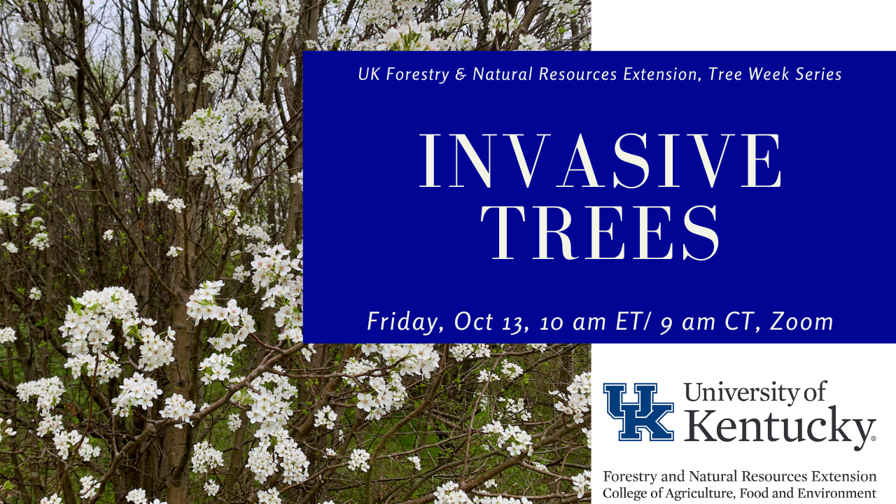 invasive trees webinar 