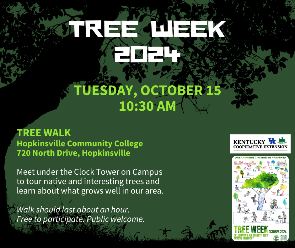 Tree Walk flyer