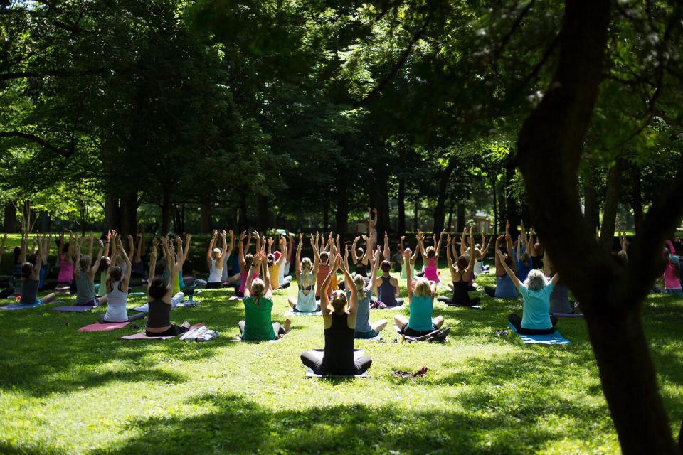 yoga under the trees at ashland
