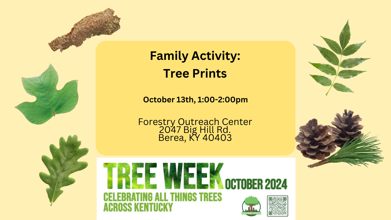 Berea Tree Prints flyer