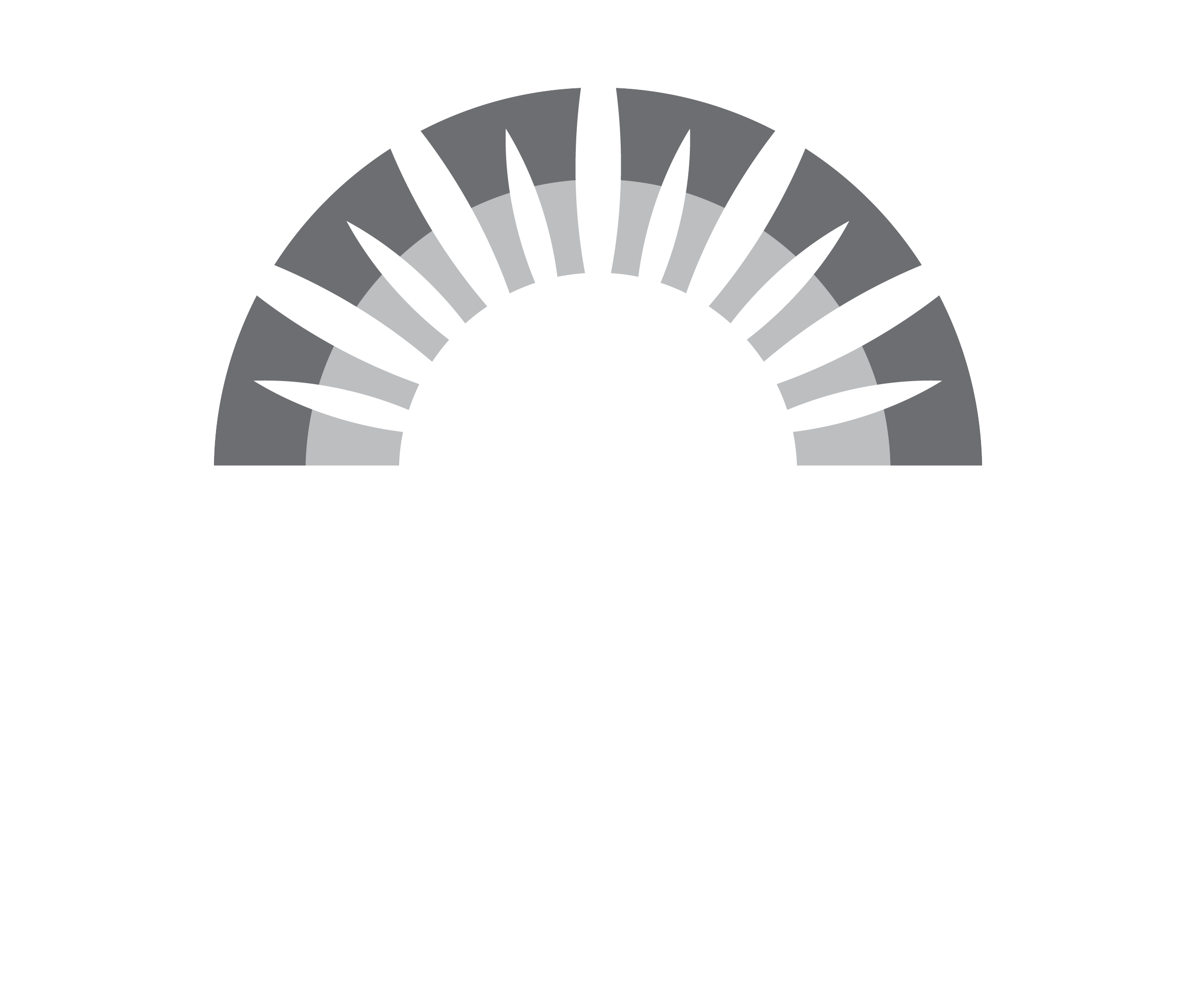 ky climate clues in forest history