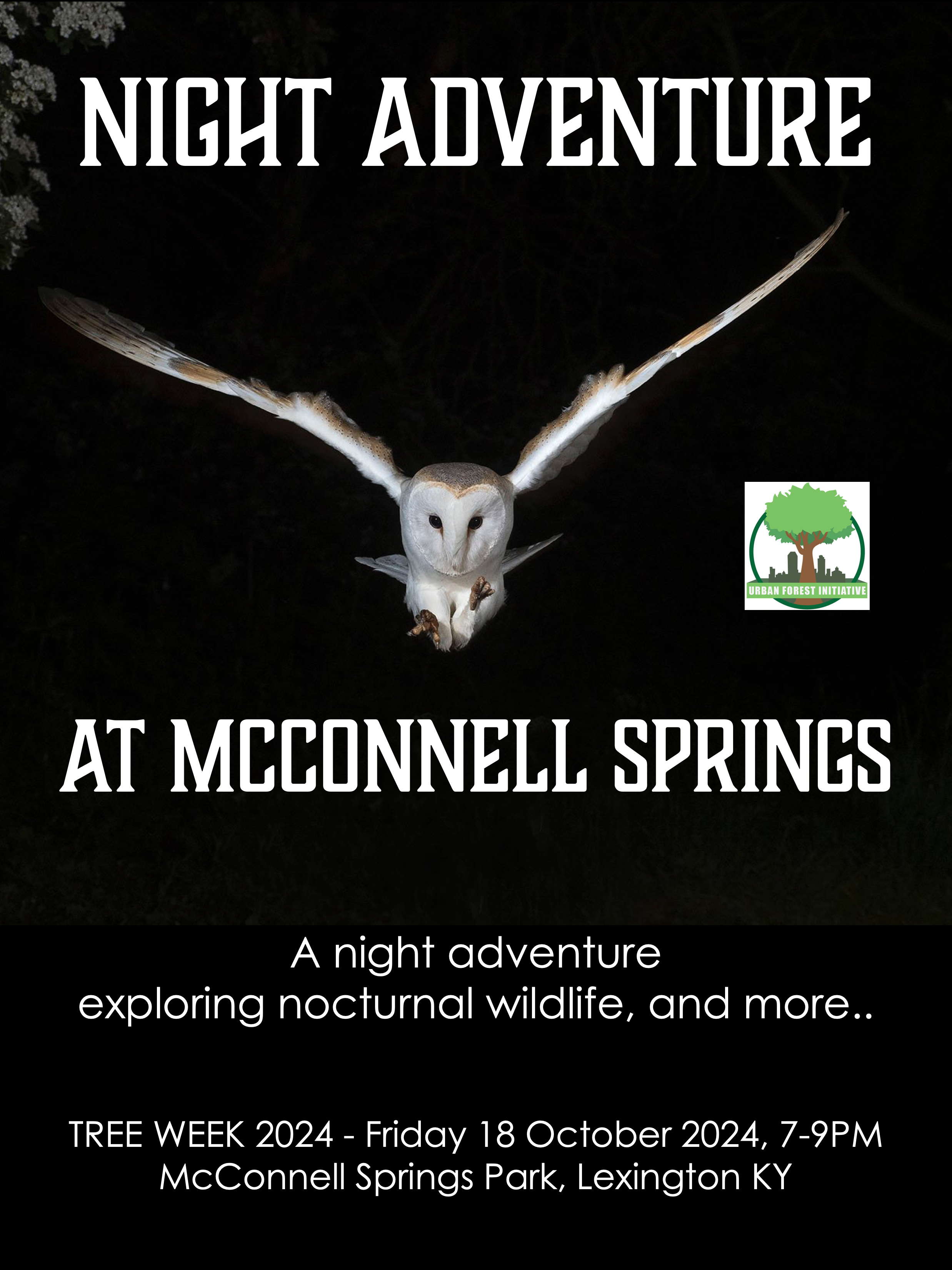 Night Adventure poster