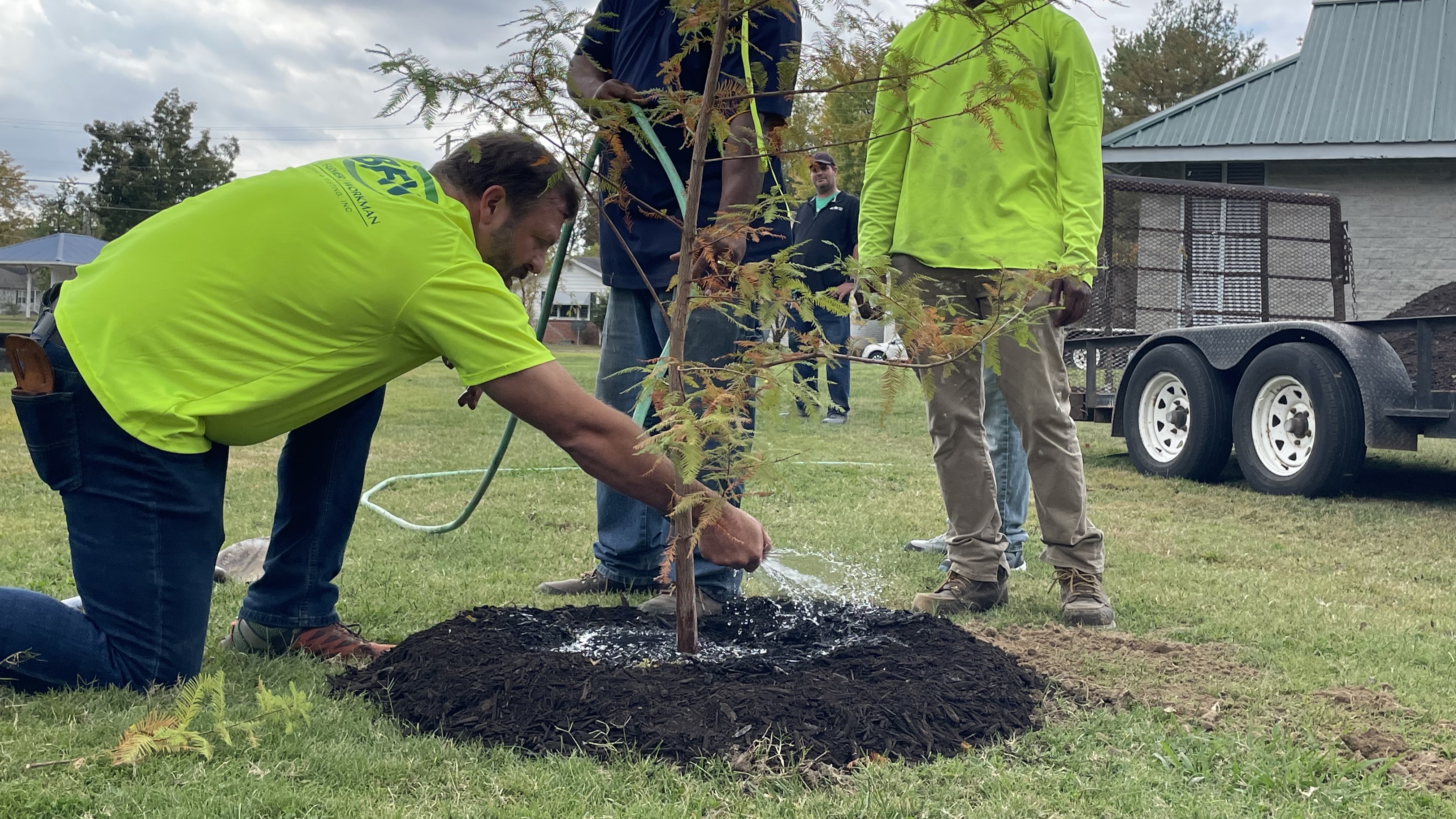 Tree Planting