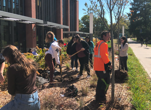 Tree Planting 2022