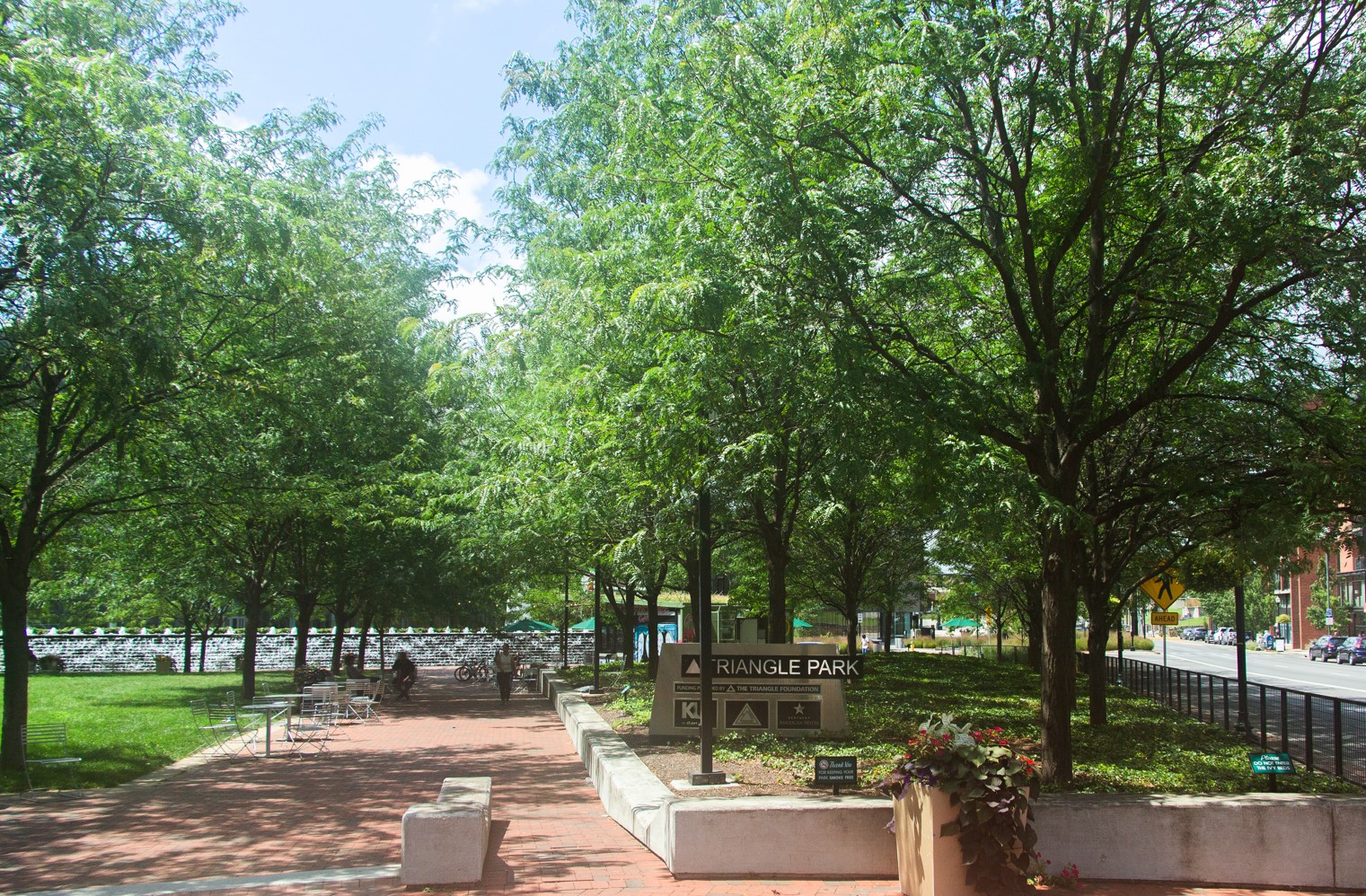 downtown tree walk