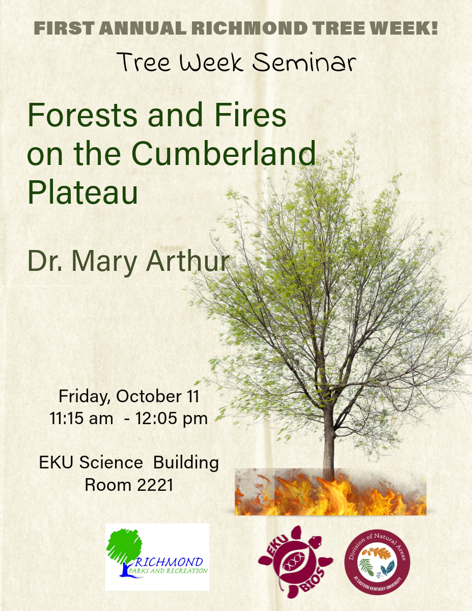 Forest and Fires Seminar flyer