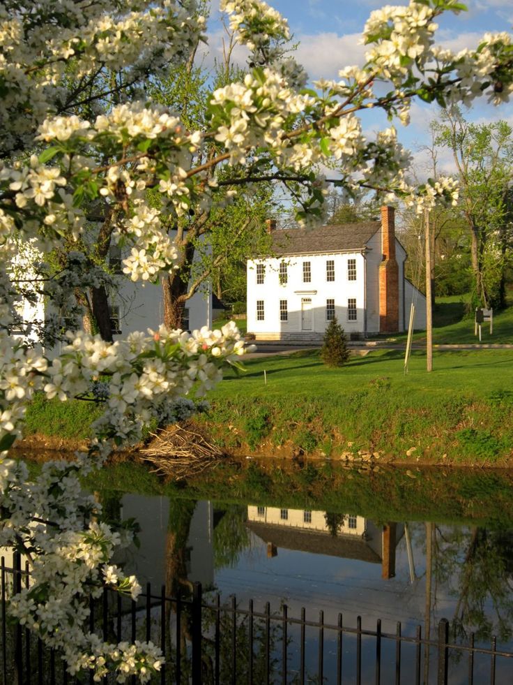 Pretty house and pond