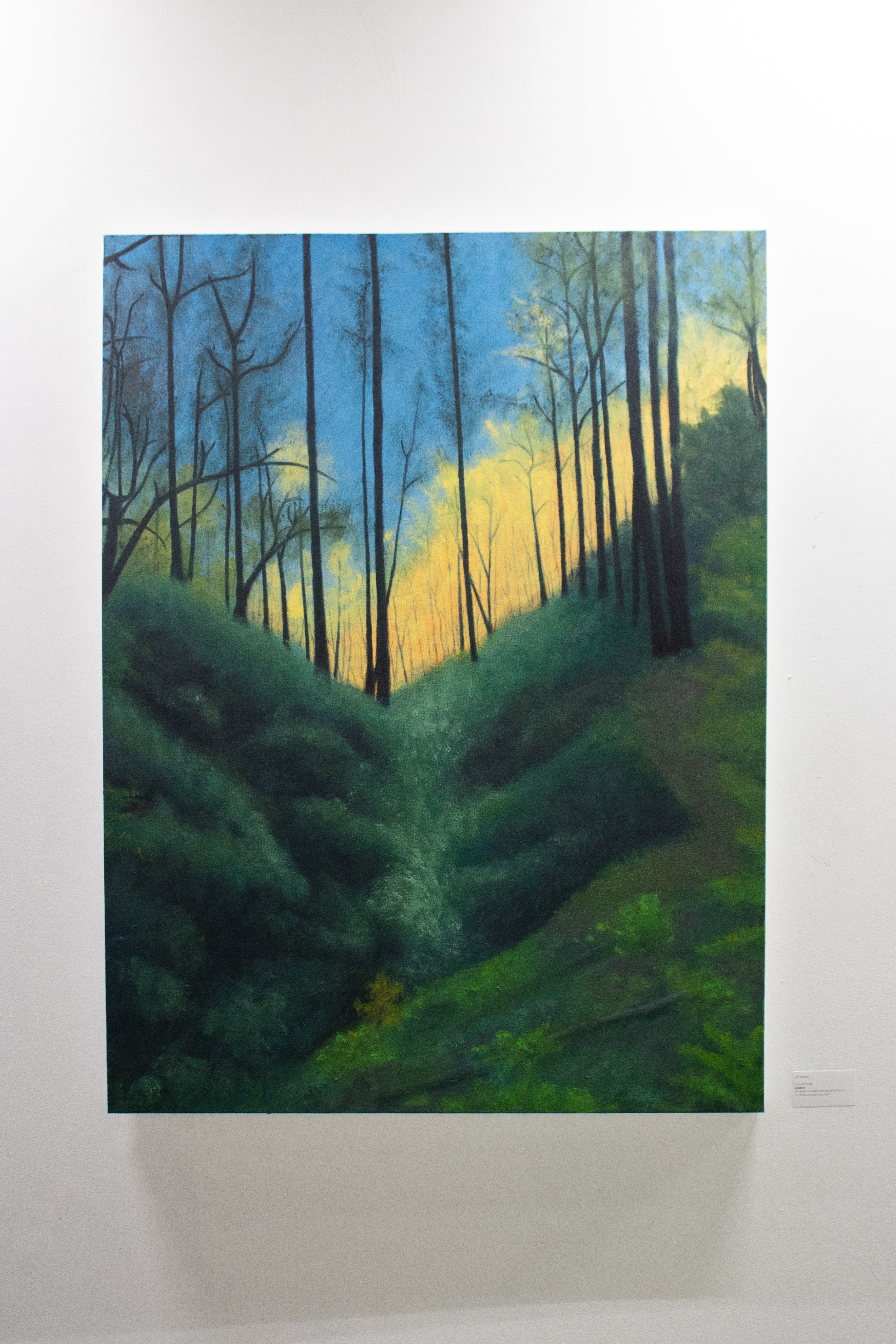 Solace by Lincoln Fuller