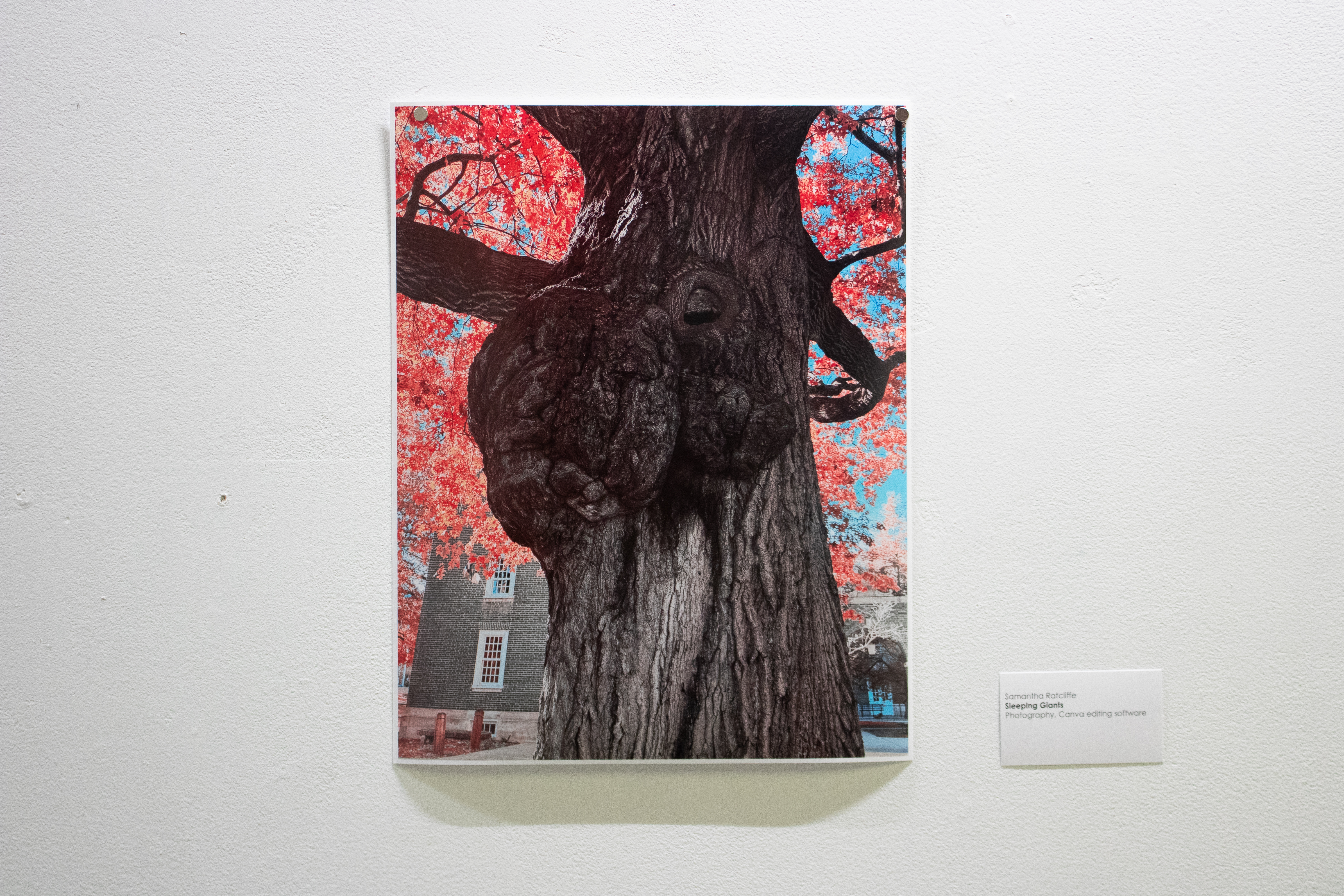 Sleeping Giants by Samantha Ratcliffe