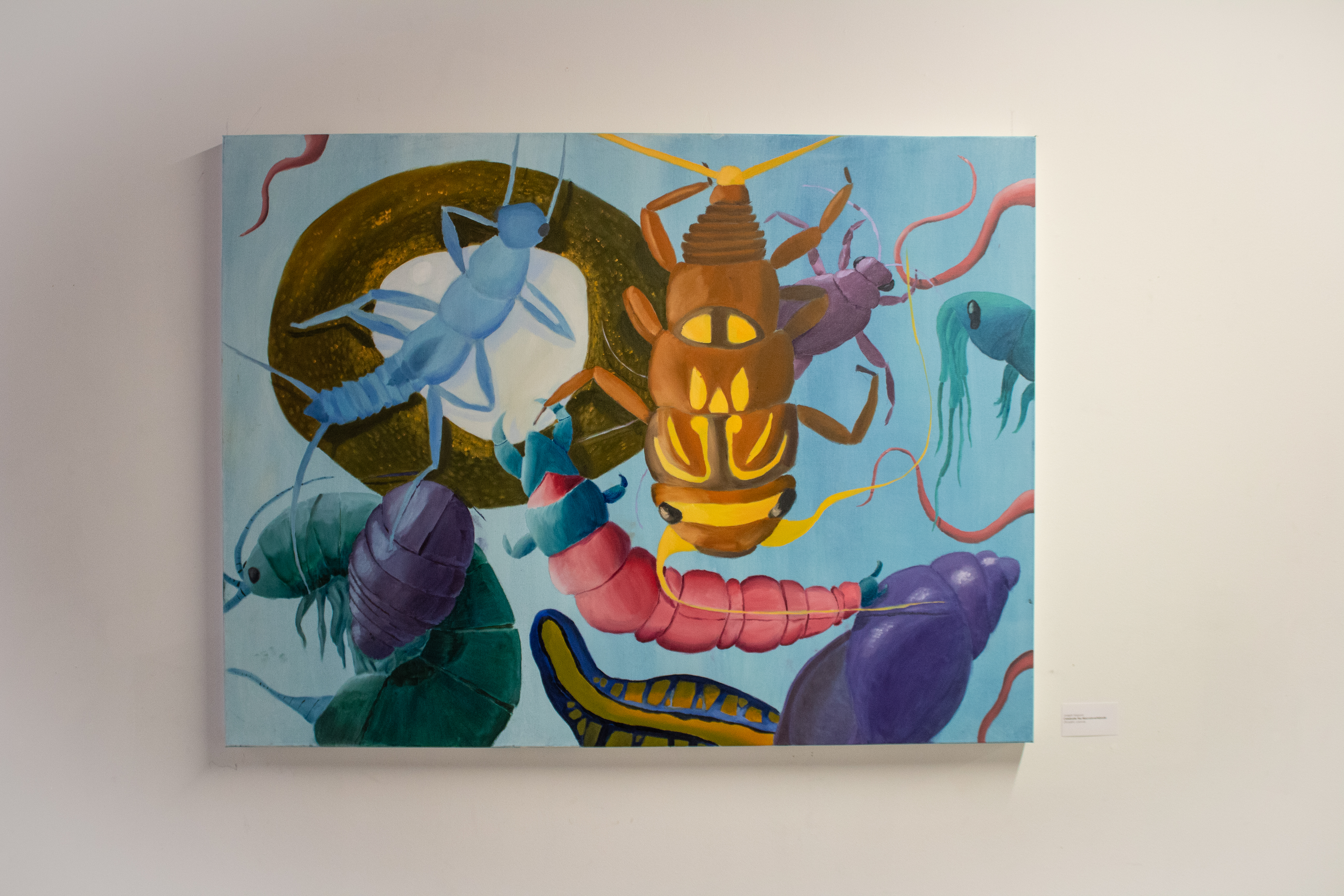 Celebrate the Macroinvertebrate by Joseph Napora