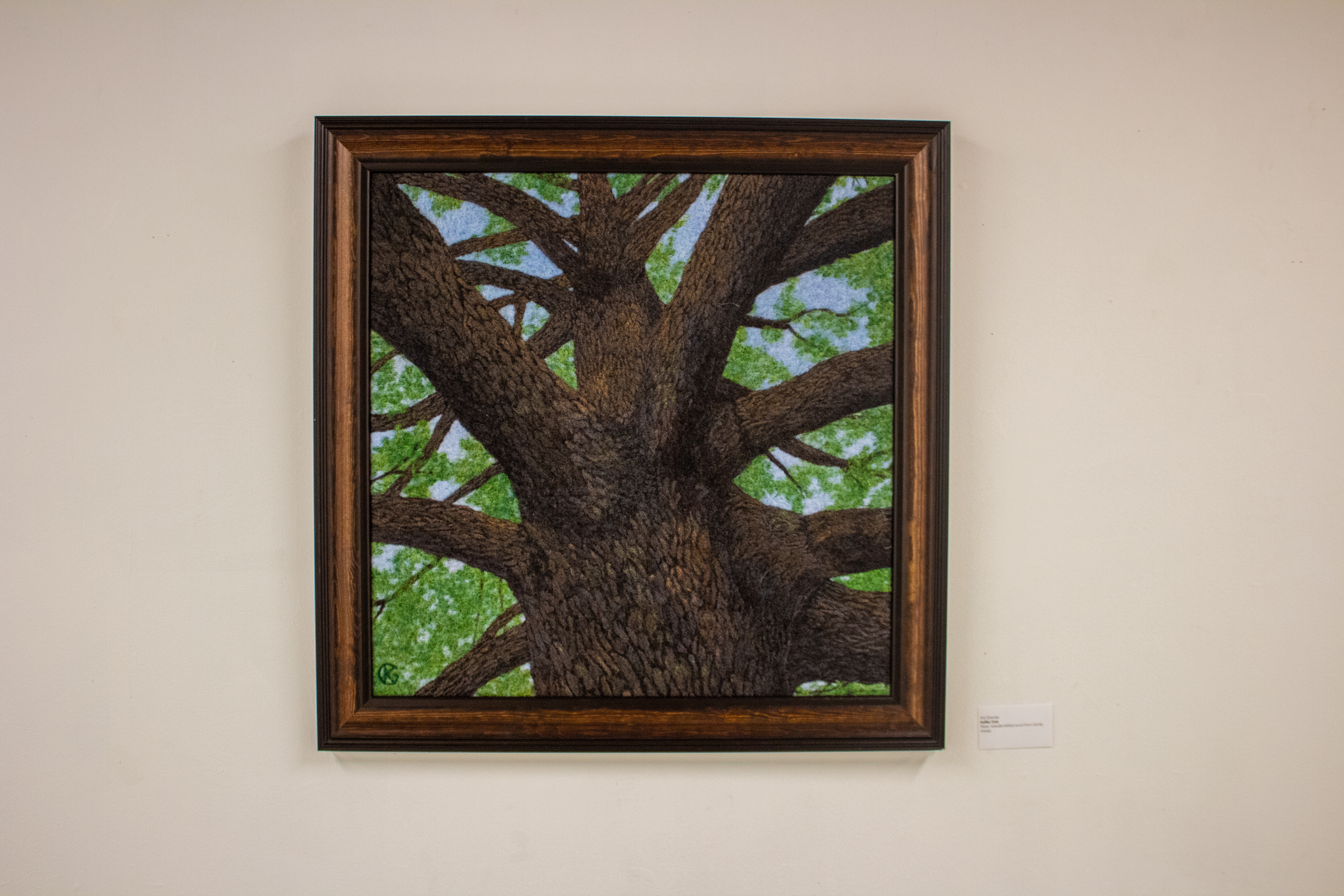Keffer Oak by Kris Grenier