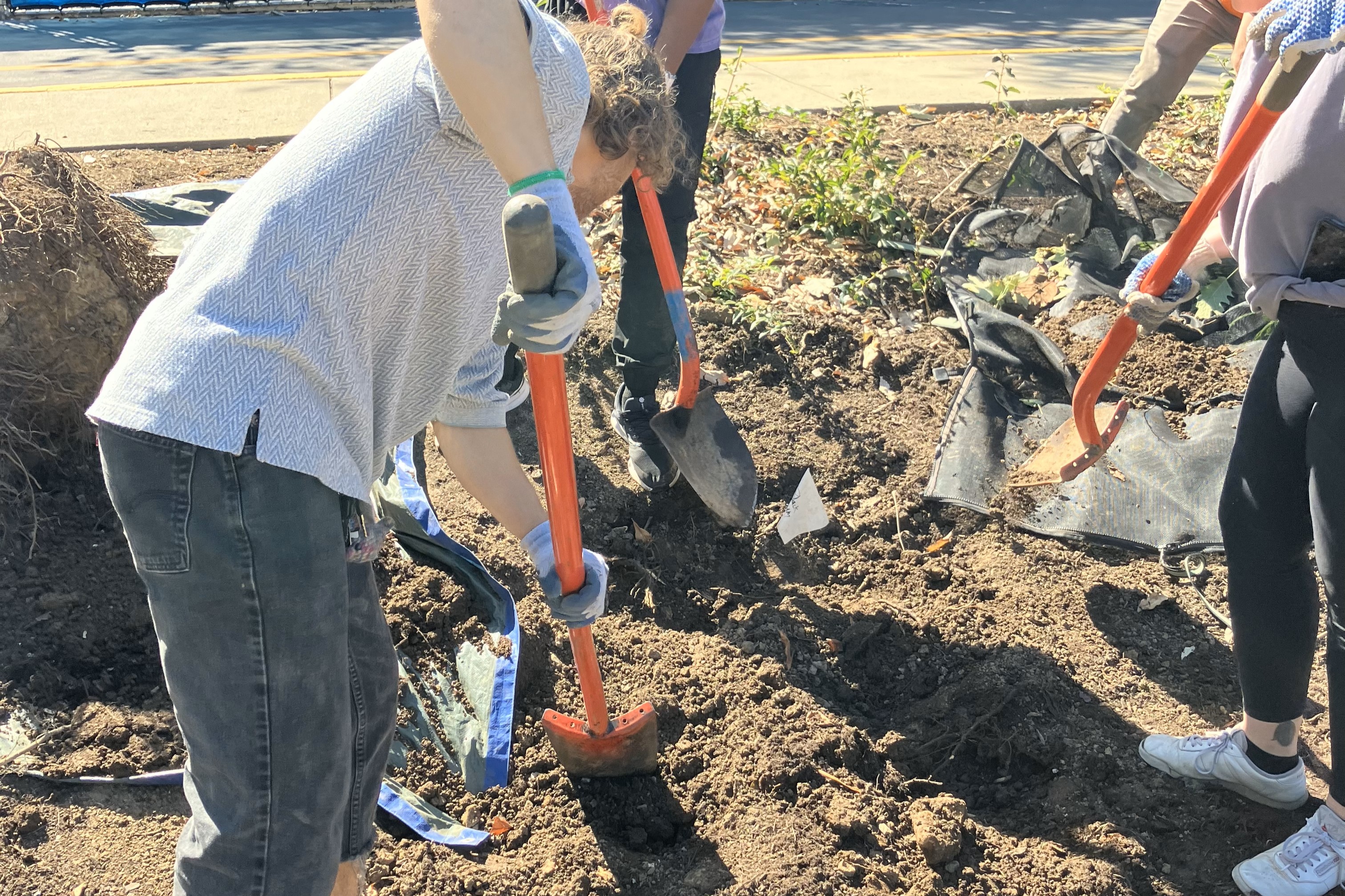 People digging the ground with shovels