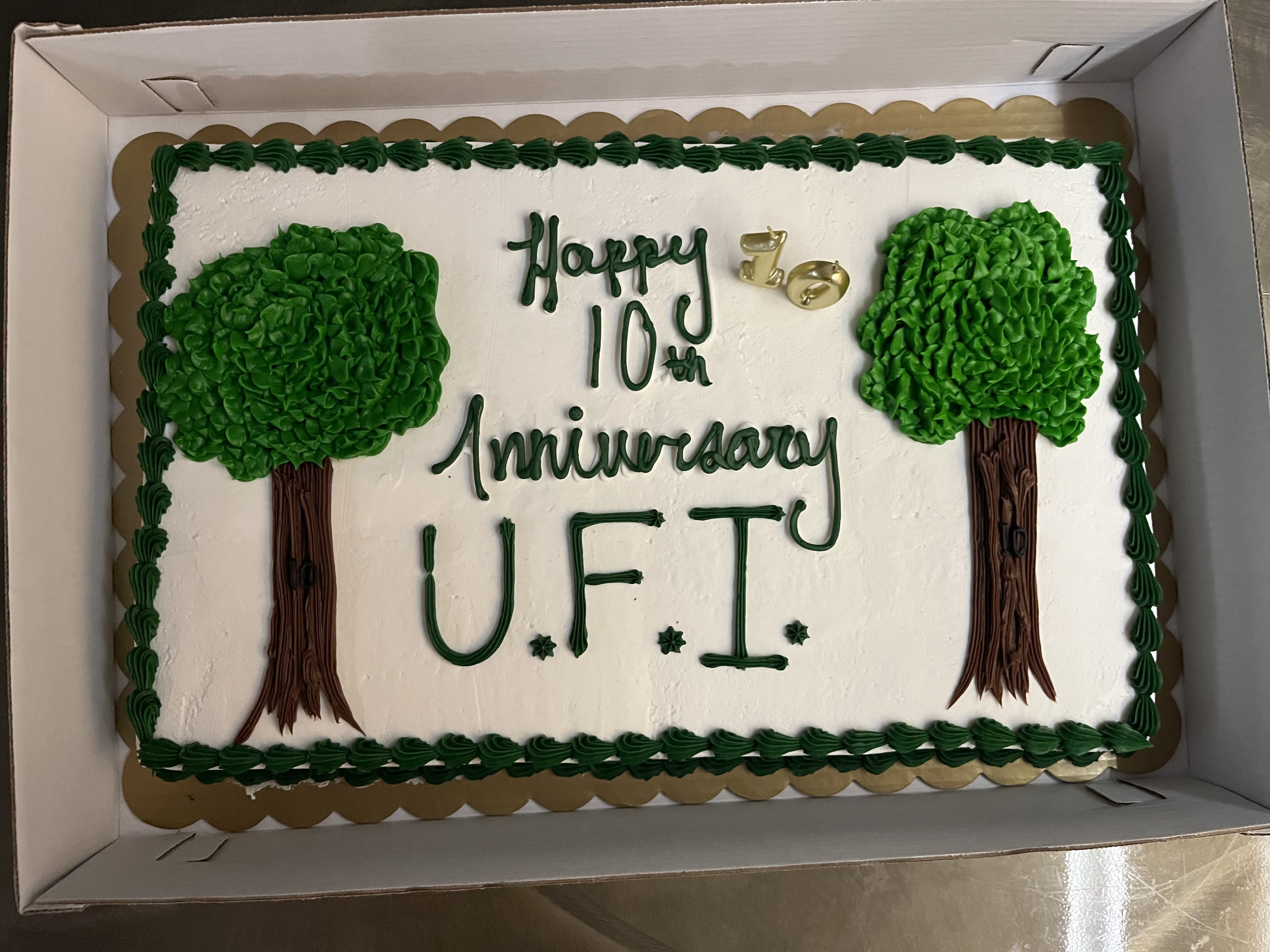 Happy 10th Anniversary UFI cake