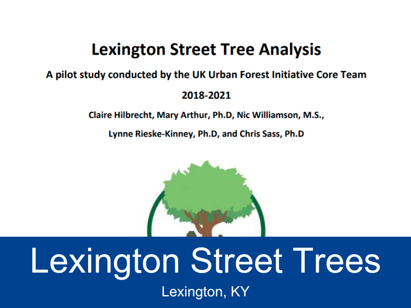 Lexington Street Trees Report thumbnail