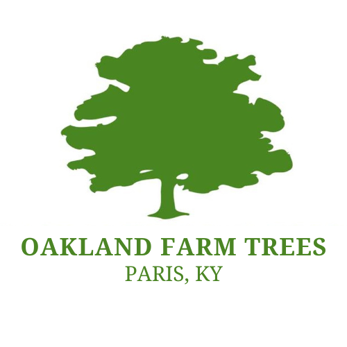 Oakland Farm Trees logo