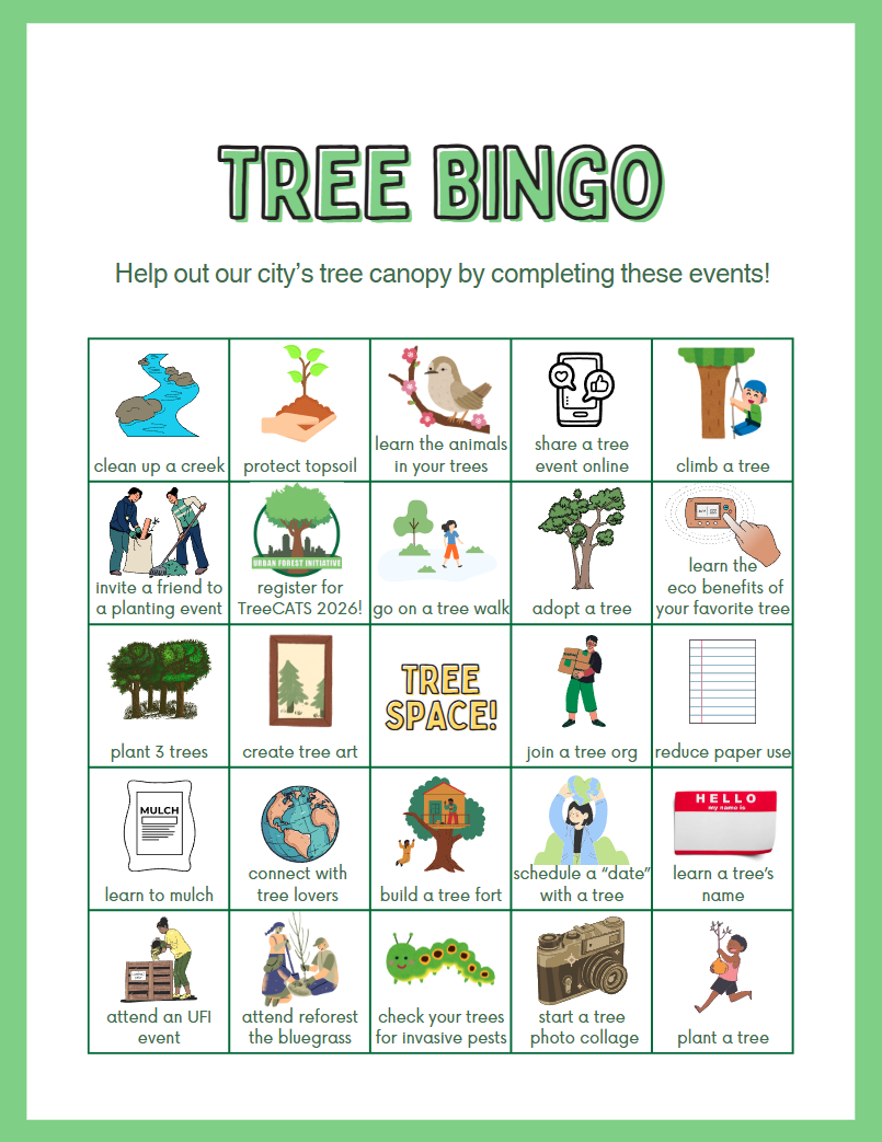 TreeCATs 2025 project Tree Bingo by Sophia McKay