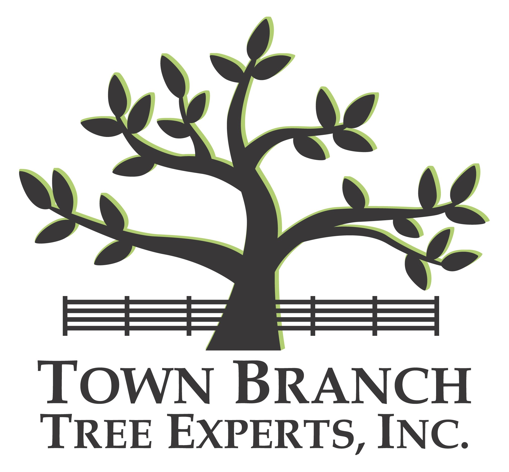 Town Branch Tree Experts logo
