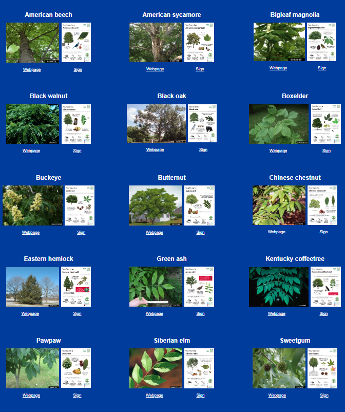 Tree library page