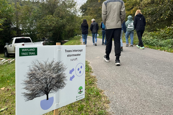 UFI Tree Trail sign