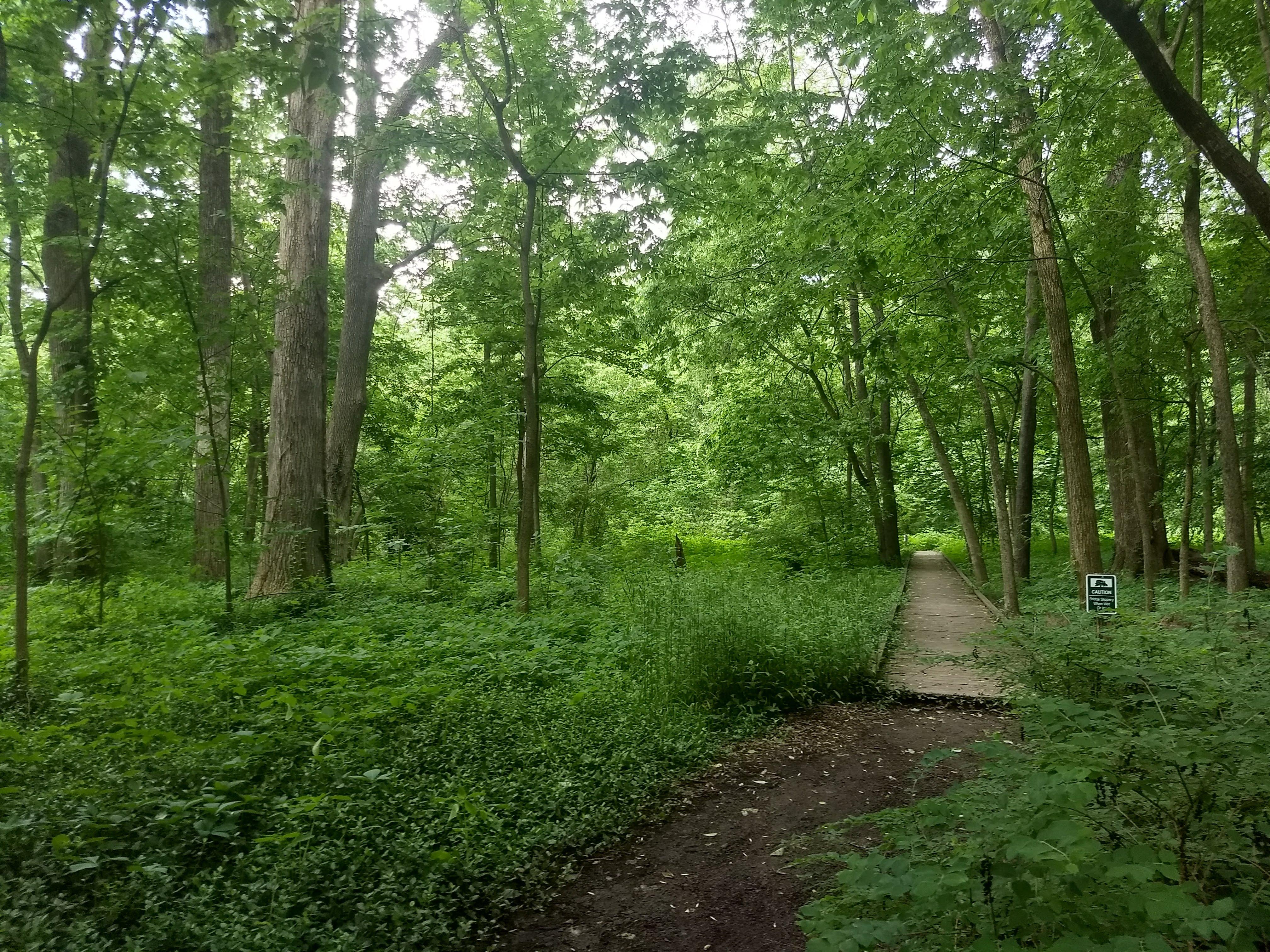 Photo of Arboretum Woods