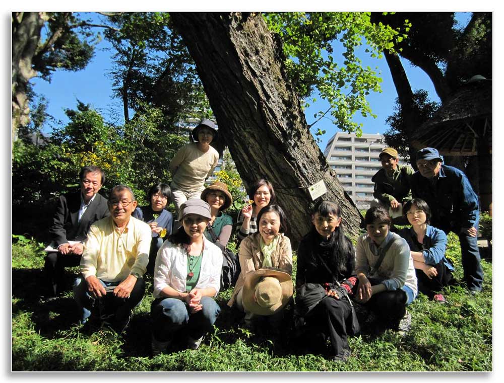 Hiroshima Trees of Peace