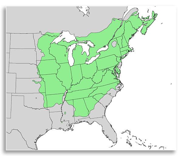 Red oak range map