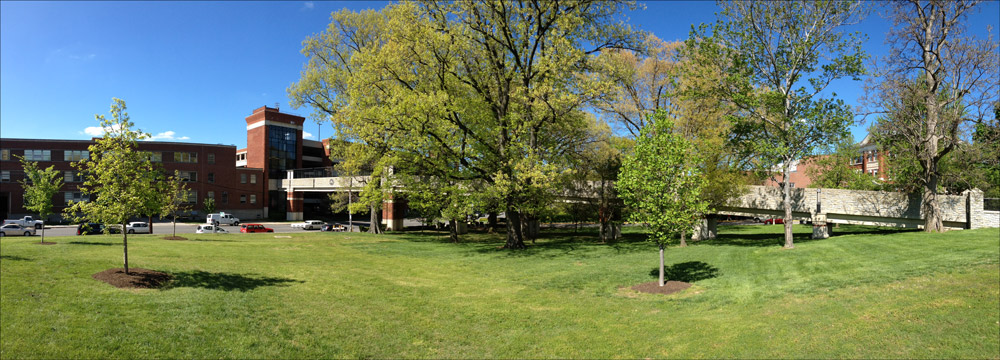 Pedestrian walkway over Limestone