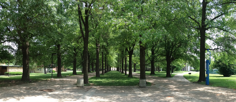 Kirwan and Blanding Dormitory Complex