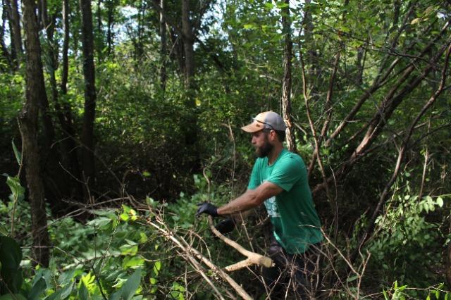 reforesting the bluegrass: tour a site and remove invasives 