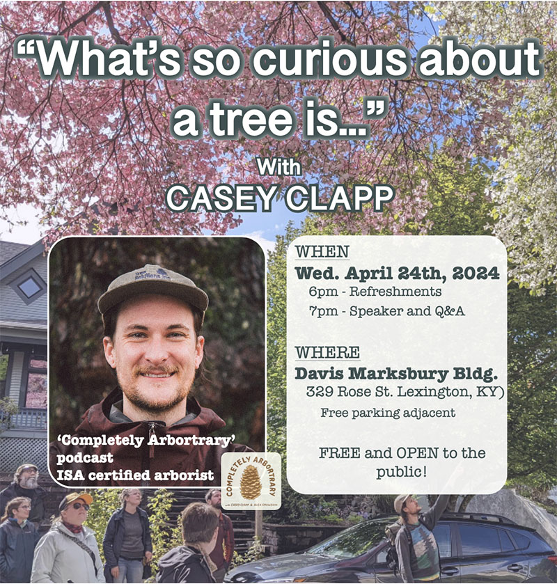 What's so curious about a tree is...