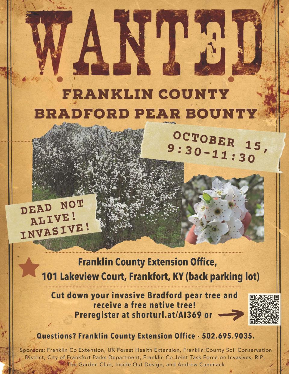 bradford pear bounty 