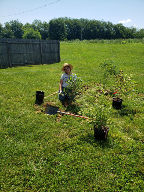 tree work on shelter grounds 